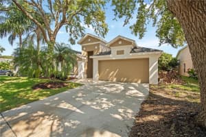 5513 Terrain De Golf Dr, LUTZ