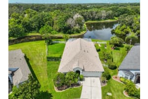 621 Straw Lake Dr, BRANDON