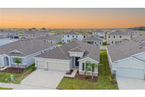 32183 CONCHSHELL SAIL STREET, WESLEY CHAPEL, FL 33545 - MLS#MFRTB8422572
