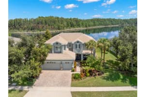 19315 Falcon Crest Blvd, LAND O LAKES