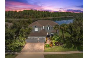 19315 FALCON CREST BOULEVARD, LAND O LAKES, FL 34638 - MLS#MFRTB8422575