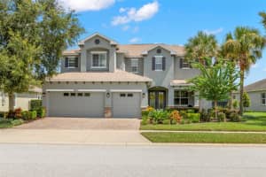 19315 FALCON CREST BOULEVARD, LAND O LAKES, FL 34638 - MLS#MFRTB8422575