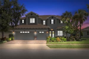19315 FALCON CREST BOULEVARD, LAND O LAKES, FL 34638 - MLS#MFRTB8422575