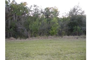 4245 WINDCREST DRIVE, WESLEY CHAPEL, FL 33544 - MLS#MFRTB8422584