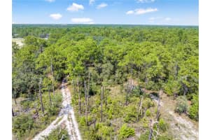 RESTORATION RD, BROOKSVILLE, FL 34613 - MLS#MFRTB8422601