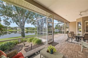 1156 DARLINGTON OAK DRIVE, ST PETERSBURG, FL 33703 - MLS#MFRTB8422604