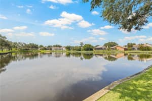 1156 DARLINGTON OAK DRIVE, ST PETERSBURG, FL 33703 - MLS#MFRTB8422604