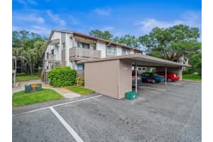 2364 NEWBURG LANE, SAFETY HARBOR, FL 34695 - MLS#MFRTB8422609