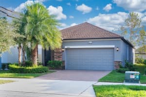 9845 Ivory Dr, SUN CITY CENTER