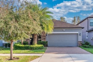 9845 IVORY DRIVE, SUN CITY CENTER, FL 33573 - MLS#MFRTB8422611