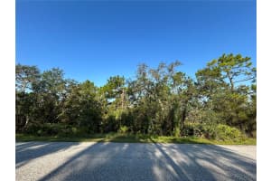8323 NUZUM ROAD, WEEKI WACHEE, FL 34613 - MLS#MFRTB8422638
