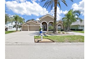 19103 Harbor Cove Ct, LUTZ