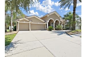 19103 HARBOR COVE CT, LUTZ, FL 33558 Sold 10/07/25