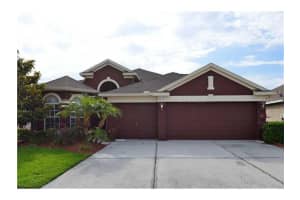 3132 Sago Point Ct, LAND O LAKES