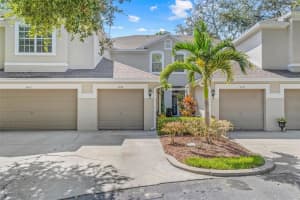 3569 Country Pointe Pl, PALM HARBOR