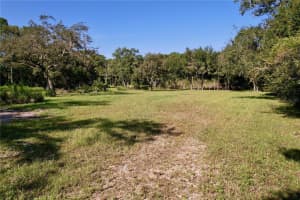 11025 TRACEY COURT, NEW PORT RICHEY, FL 34654 - MLS#MFRTB8422729