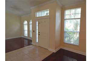 14832 HERONGLEN DRIVE, LITHIA, FL 33547 - MLS#MFRTB8422748