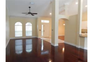 14832 HERONGLEN DRIVE, LITHIA, FL 33547 - MLS#MFRTB8422748
