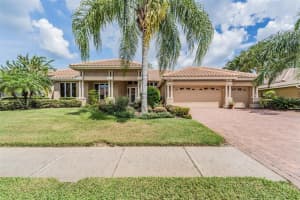 1349 FORESTEDGE BOULEVARD, OLDSMAR, FL 34677 - MLS#MFRTB8422752