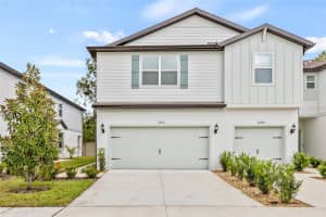 13161 Stillmont Pl, TAMPA