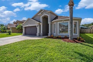 30618 TREMONT DRIVE, WESLEY CHAPEL, FL 33543 - MLS#MFRTB8422771