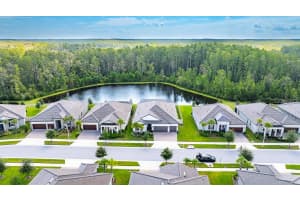 10982 BANYAN BREEZE BOULEVARD, LAND O LAKES, FL 34638 - MLS#MFRTB8422785
