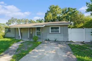 6515 Runningwoods Dr, TAMPA