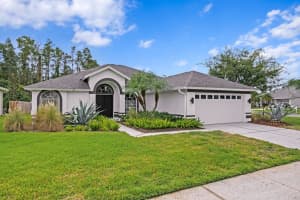 9619 Fox Hearst Rd, TAMPA
