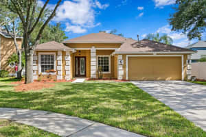 8504 Goldfinch Ct, TAMPA