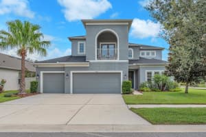 17701 BRIGHT WHEAT DRIVE, LITHIA, FL 33547 Sold 10/17/25