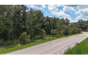 12333 FARMETTES ROAD, LAKELAND, FL 33809 Sold 03/06/26