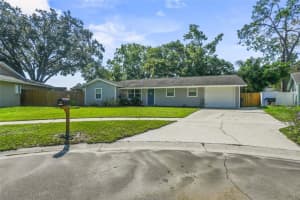 17703 Morninghigh Dr, LUTZ