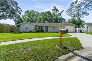 17703 MORNINGHIGH DRIVE, LUTZ, FL 33549 - MLS#MFRTB8422805