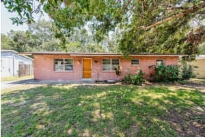 4203 Fawn Cir, TAMPA