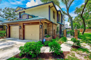 2670 WALNUT DRIVE, PALM HARBOR, FL 34683 - MLS#MFRTB8422826