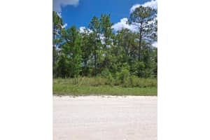 14020 CEDARWOOD AVENUE, WEEKI WACHEE, FL 34614 - MLS#MFRTB8422842