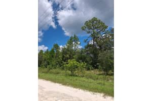 14020 CEDARWOOD AVENUE, WEEKI WACHEE, FL 34614 - MLS#MFRTB8422842