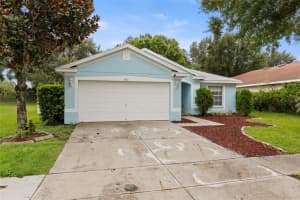 11421 Coconut Island Dr, RIVERVIEW