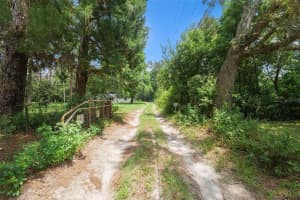 18350 OAKLAWN DRIVE, SPRING HILL, FL 34610 - MLS#MFRTB8422859