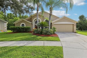 18008 Sparrows Nest Dr, LUTZ