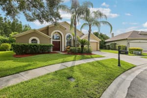18008 SPARROWS NEST DRIVE, LUTZ, FL 33558 - MLS#MFRTB8422866