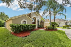 18008 SPARROWS NEST DRIVE, LUTZ, FL 33558 - MLS#MFRTB8422866