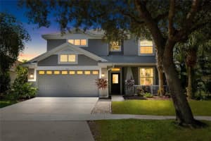 6031 Gannetdale Dr, LITHIA