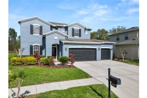 4446 Wildstar Cir, WESLEY CHAPEL