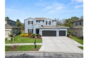 4446 WILDSTAR CIRCLE, WESLEY CHAPEL, FL 33544 - MLS#MFRTB8422875
