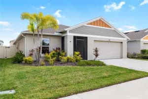 12841 HALTER STEER ROAD, LITHIA, FL 33547 - MLS#MFRTB8422887