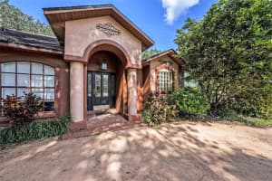 16502 CAYMAN DRIVE, TAMPA, FL 33624 - MLS#MFRTB8422897