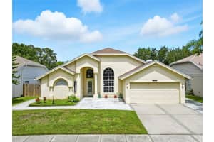 9017 Westbay Blvd, TAMPA