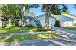 314 OVERSTREET COURT, PALM HARBOR, FL 34683 - MLS#MFRTB8422918