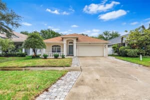 15316 Lake Bella Vista Dr, TAMPA